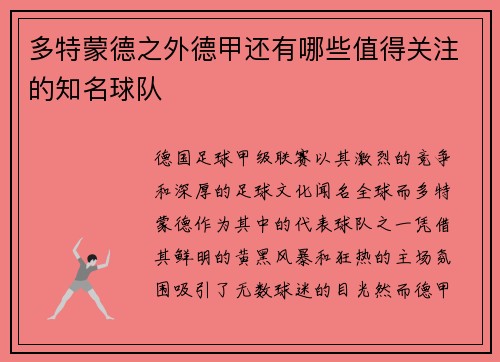 多特蒙德之外德甲还有哪些值得关注的知名球队