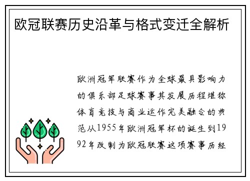 欧冠联赛历史沿革与格式变迁全解析